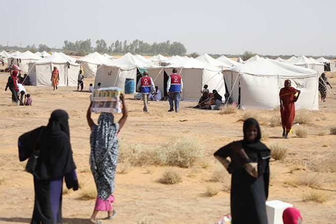 نازحي الفاشر 