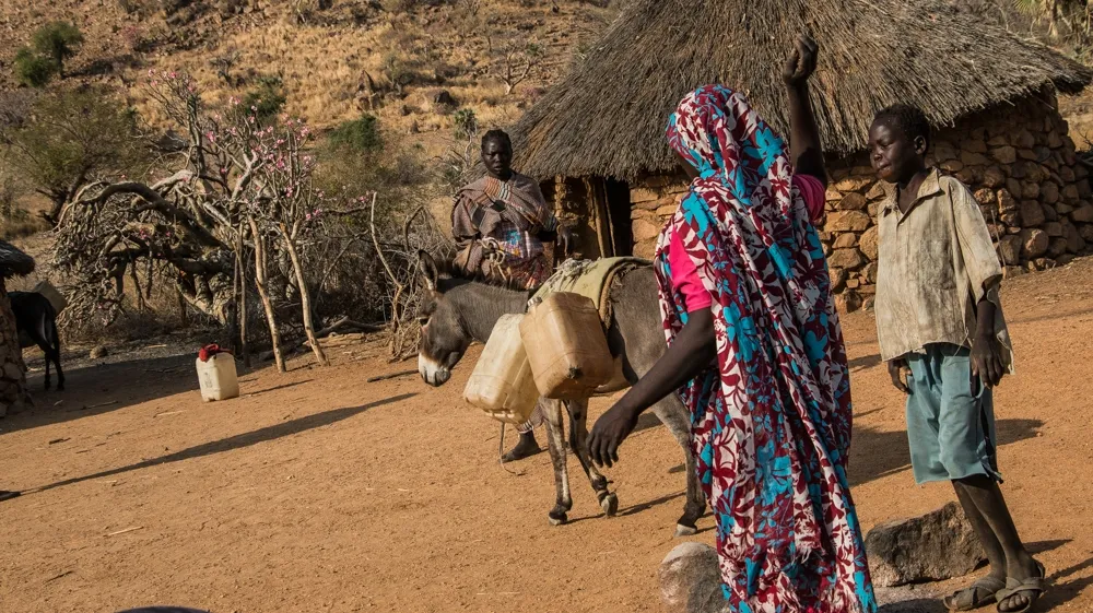 مواطني جنوب كردفان